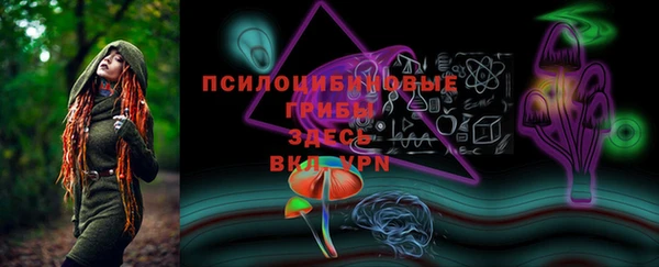индика Алзамай