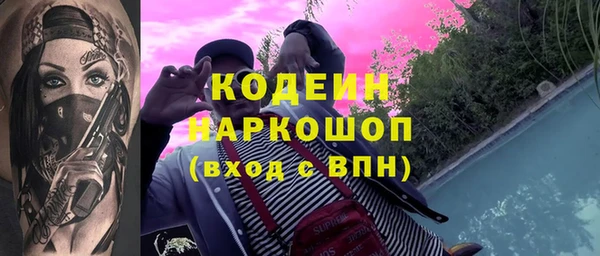 индика Алзамай