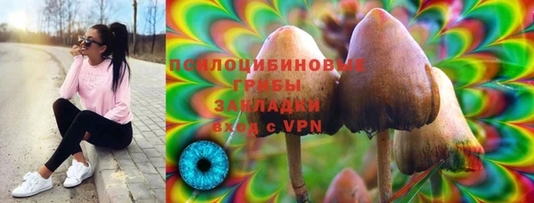 ALPHA PVP Алексеевка
