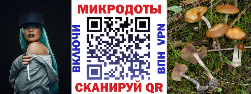 Галлюциногенные грибы Cubensis  MEGA как войти  Боровичи 