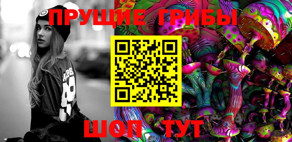 Псилоцибиновые грибы Psilocybe  Вход с VPN  Боровичи 