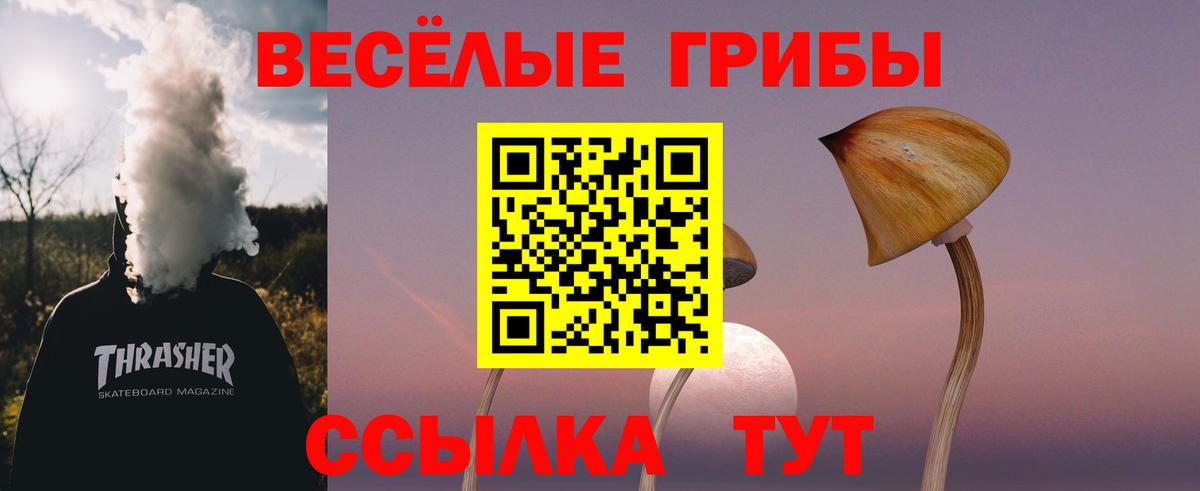 Псилоцибиновые грибы мицелий Боровичи
